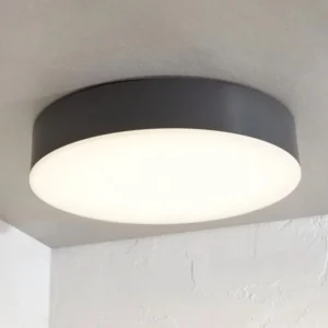 P3201 300 Diameter 21W Modern Round LED Home Interior Ceiling Lamp Hotel Office Indoor Ceiling LED Light Outdoor Use