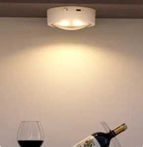 Portable LED Ceiling Light with Wireless Remote Control Indoor Living Room Wall Lamp for Cabinet Atmosphere Lamp