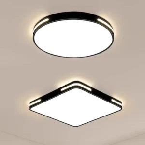 Round Square Ceiling Lamp Modern Design Home Lighting Dimmable Remote Control Black Indoor LED Ceiling Light