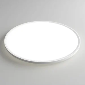 Surface Mounted Ceiling Lamp LED Light Modern Design 3000K 4000K 6500K Color Temperature for Indoor Home Office Hotel Lighting