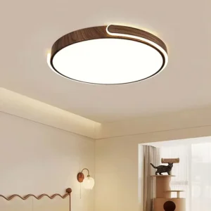 Surface Mounted LED Ceiling Light Home Living Room Bedroom Modern Luxury 48W Round