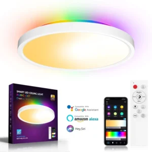 Ultra Slim RGBIC RGB+CCT Tuya WiFi ZigBee Smart LED Ceiling Light 24W AC100V AC240V CE SAA Approved Home Living Room LED Light