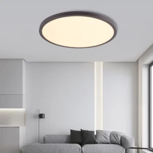 Ultra Thin Home Office Indoor Lighting Round Shape Modern Interior Decoration Lamp Led Ceiling Light